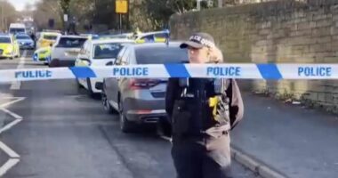 Teenager, 15, dies after being stabbed at secondary school in Sheffield - as boy, 15, is arrested