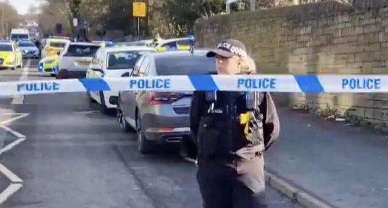 Teenager, 15, dies after being stabbed at secondary school in Sheffield - as boy, 15, is arrested