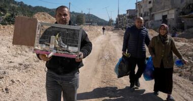 Tens of thousands of Palestinians seek shelter after Israeli assaults across the West Bank