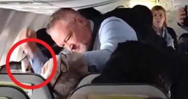 Terrifying moment ‘screaming’ plane passenger refuses to let go of woman’s hair as ‘hero’ flight attendant restrains him