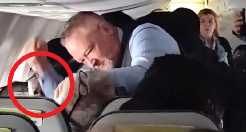 Terrifying moment ‘screaming’ plane passenger refuses to let go of woman’s hair as ‘hero’ flight attendant restrains him