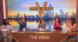 The View panel spirals into nasty on-air spat as hosts argue over Trump... again