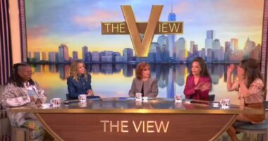 The View panel spirals into nasty on-air spat as hosts argue over Trump... again