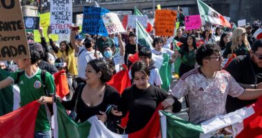 Thousands block traffic on LA freeway during Grammys ceremony in massive protest against Trump and migrant crackdown