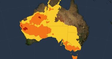 There is no escaping low to extreme heatwave conditions in three states today as scorching temperatures ﻿grip most of Australia.