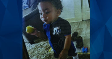 Toddler Boy Missing Since Wednesday, Search Underway