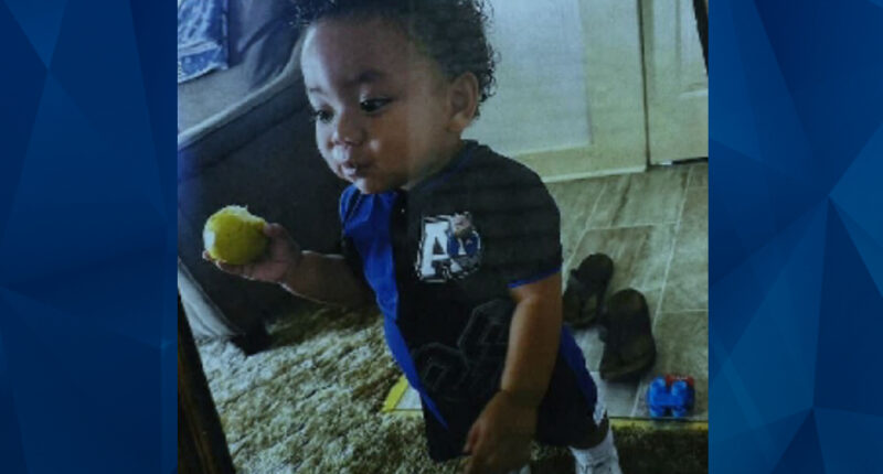 Toddler Boy Missing Since Wednesday, Search Underway