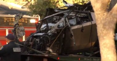 Toxic cocktail of cocaine and booze led to teens fiery death in Tesla crash in California