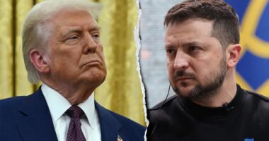 Trump, Zelenskyy to meet for key deal as NATO allies, Russia wait, watch