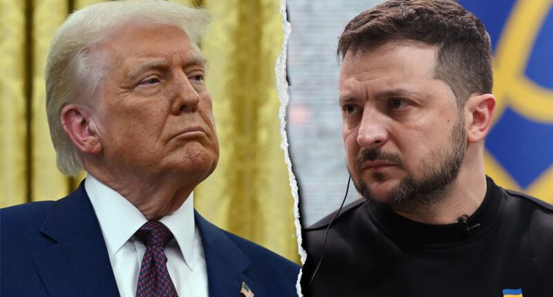 Trump, Zelenskyy to meet for key deal as NATO allies, Russia wait, watch