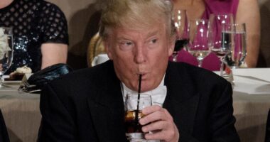 Trump announces WAR on woke paper straws that ‘don’t work’ and pledges order to ‘bring back plastic’