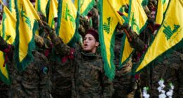 Trump urged to look into US funding of Lebanese army amid accusations of its ties to Hezbollah