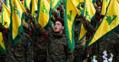 Trump urged to look into US funding of Lebanese army amid accusations of its ties to Hezbollah