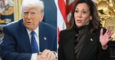 Trump's secret plan to destroy Kamala Harris a SECOND time