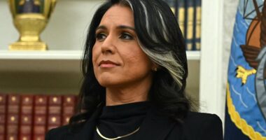 Tulsi Gabbard joins Kash Patel in defiance of Elon Musk over DOGE email demands