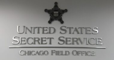 US Secret Service agents work to stop child pornography, investigate tips National Center for Missing & Exploited Children tips