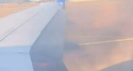 United Airlines plane catches FIRE during take-off as terrified passengers scream ‘get us out’ before flight evacuated