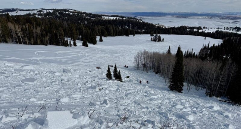 Utah snowmobiler killed in avalanche after being 'fully buried'