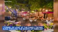 Valentine's Day Chicago things to do: Love-themed pop-up opens at Dandy Crown to celebrate relationships