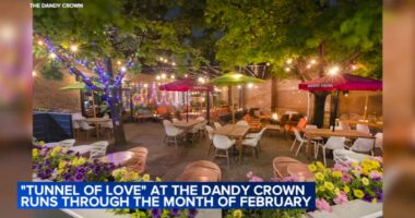 Valentine's Day Chicago things to do: Love-themed pop-up opens at Dandy Crown to celebrate relationships