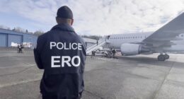 Video shows ICE preparing illegal immigrants to be flown out of Seattle airport