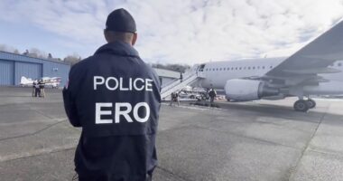 Video shows ICE preparing illegal immigrants to be flown out of Seattle airport