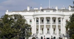 WATCH: Black-Clad Man Scales White House Fence - Here's What Happened Next