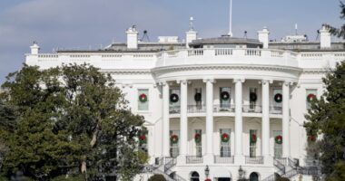 WATCH: Black-Clad Man Scales White House Fence - Here's What Happened Next