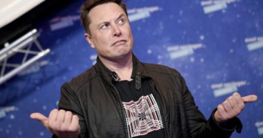 WATCH: Oh My, Marcy Kaptur Attacks Elon Musk for Being an Immigrant