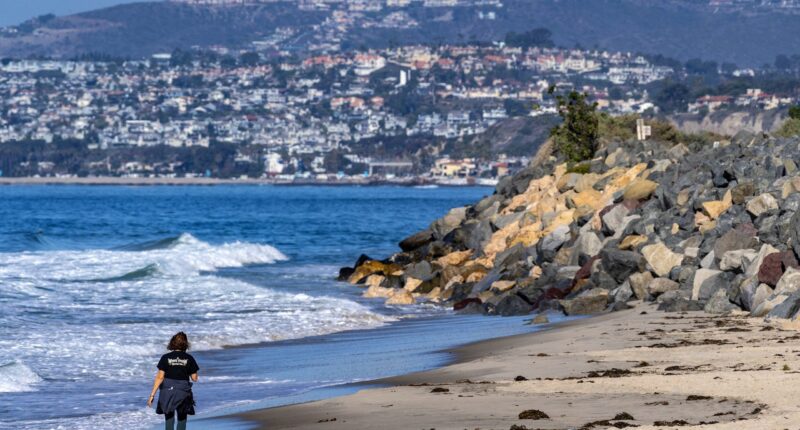 Wealthy California beach town skirts state's sanctuary law in planned migrant boat crackdown