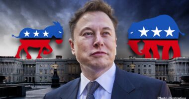 White House flags top USAID boondoggles under Elon Musk's microscope