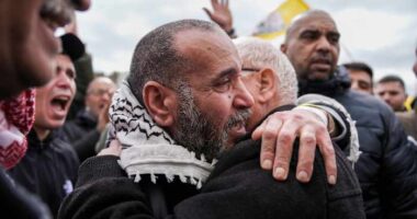 Who are the Palestinian prisoners released in exchange for Israeli hostages?