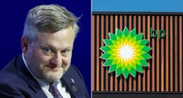 Will BP head back to oil? Boss pledges fundamental reset as profits hit four-year low