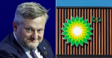 Will BP head back to oil? Boss pledges fundamental reset as profits hit four-year low