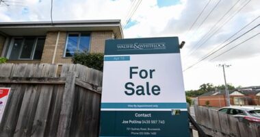 Would you take on a 40-year mortgage? Millions of Aussies say yes