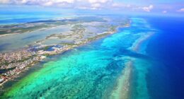 Young American tourists found dead at Caribbean beach resort; authorities investigating