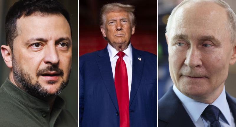 Zelenskyy warns peace talks without Ukraine 'dangerous' after Trump claims meetings with Russia 'going well'