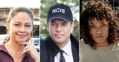 ‘NCIS’ Universe Dating History: ‘NCIS: Sydney’ Stars' Love Lives, More