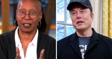 ‘The View’: Whoopi Goldberg Reminds Elon Musk, “Nobody Elected You!” 