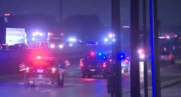 17-vehicle crash in Austin, Texas leaves 3 adults, 2 kids dead