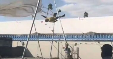 Moment human cannonball stuntman is seriously injured at fair after bouncing off safety net and slamming into the ground