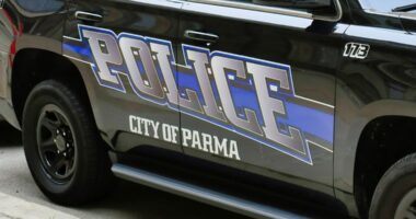 2 Parma police cruisers crash attempting to stop fleeing suspect; officer sustains minor injuries