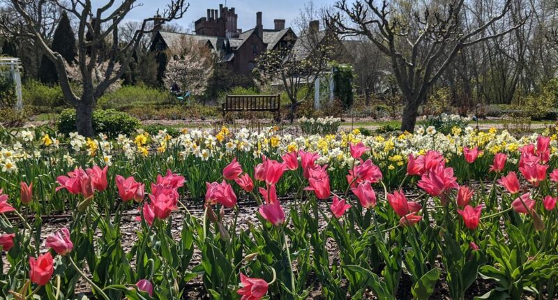 Akron's Stan Hywet Hall & Gardens opens for season on April 1: How to get a free tour ticket