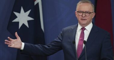 Australian Prime Minister Anthony Albanese gestures during a press conference in Sydney, Australia, Thursday, Dec. 12, 2024.