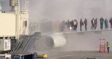 American Airlines plane erupts in flames at Denver Airport as terrified passengers are forced to escape onto wing