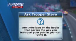 Are there laws that govern the way you transport pets in cars?