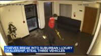 Arlington Heights burglary: Thieves break into car dealership Autos of Chicago, steal 3 luxury vehicles, surveillance video shows