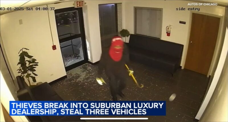 Arlington Heights burglary: Thieves break into car dealership Autos of Chicago, steal 3 luxury vehicles, surveillance video shows