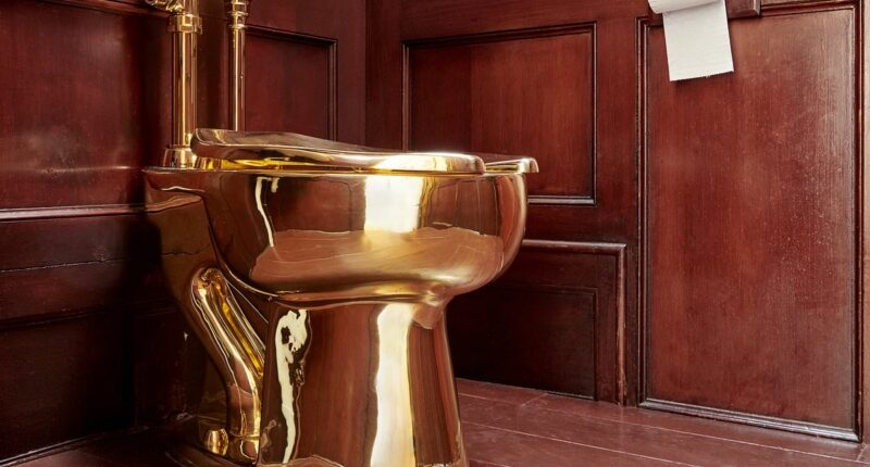 As two burglars are convicted of stealing a £4.8m lavatory from the Duke of Marlborough's stately home... why can't the police find an ounce of the gold from the Blenheim toilet after a five year investigation?