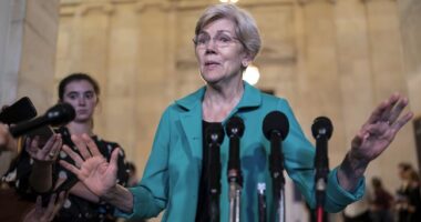 BOO-HOO: Elizabeth Warren Nearly in Tears Over Trump and Elon's Plan to Dismantle Education Department